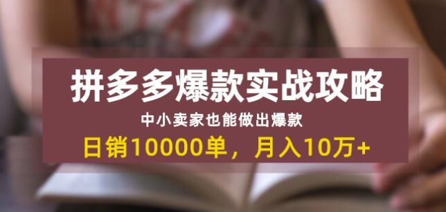 拼多多爆款实战攻略:中小卖家也能做出爆款,日销10000单月入10w+插图 拼多多爆款实战攻略:中小卖家也能做出爆款,日销10000单月入10w+插图