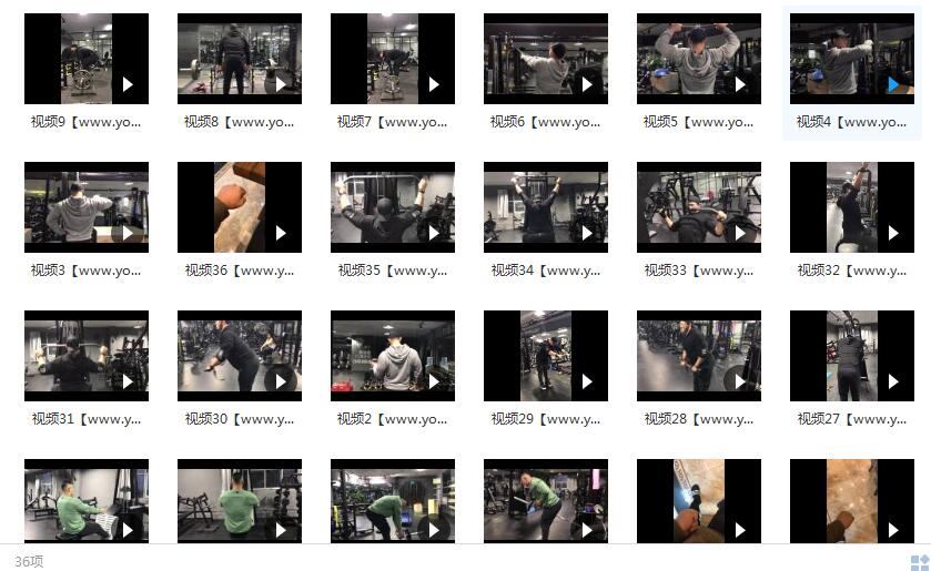 鹿神背部训练视频_健身视频教程_最全的背部训练方法插图