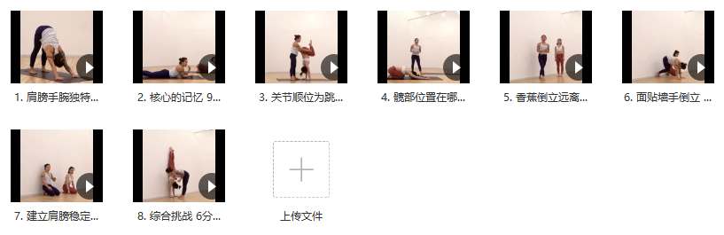 张微终点手倒立系列课2-3级插图 张微终点手倒立系列课2-3级插图