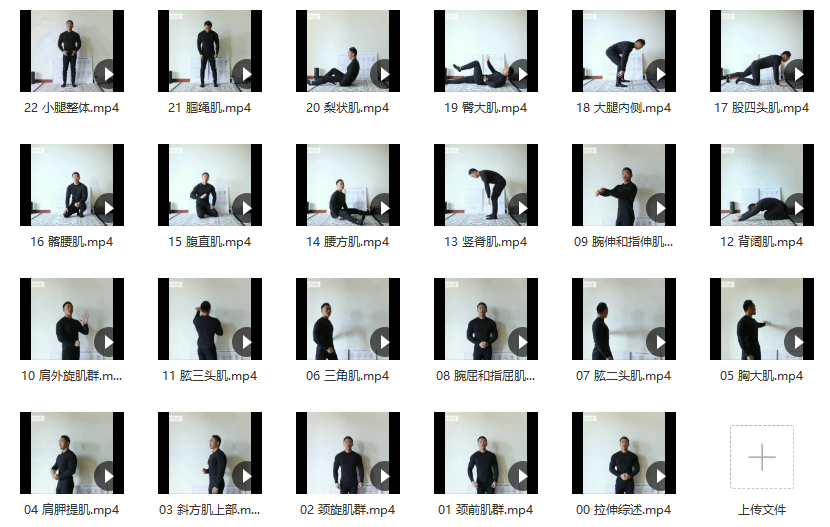 健身进阶【精准】全身拉伸插图 健身进阶【精准】全身拉伸插图