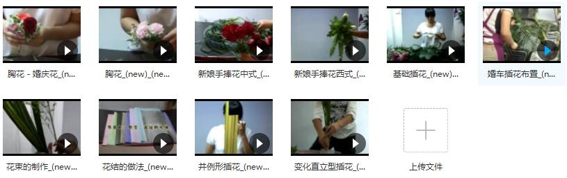 花店插花制作免费学视频教程(10集)插图 花店插花制作免费学视频教程(10集)插图