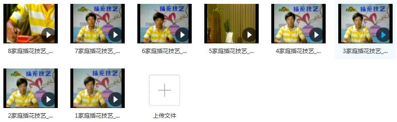 新手初学家庭插花教程视频(8集)插图 新手初学家庭插花教程视频(8集)插图