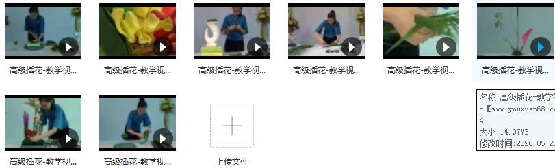 高级插花自学视频教程在线学习与下载（8集）插图