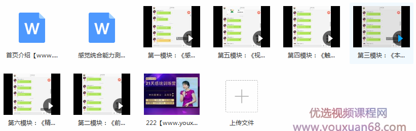 儿童感统失调家庭训练方法教学视频课程(王凤萍 6讲)