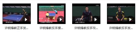 乒乓球国家队教学_许锐锋乒乓球教学_国手许锐锋横板乒乓球教学视频合集...插图