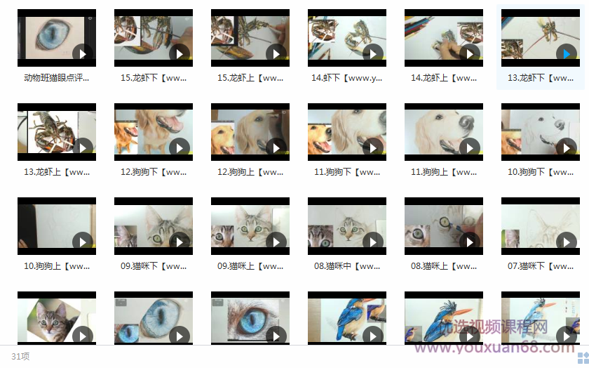 彩铅动物视频教程31讲_手绘动物教程_超写实的彩铅动物插图