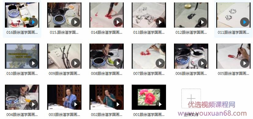 徐湛国画教程_跟徐湛学国画视频_徐湛写意花鸟国画视频教程插图