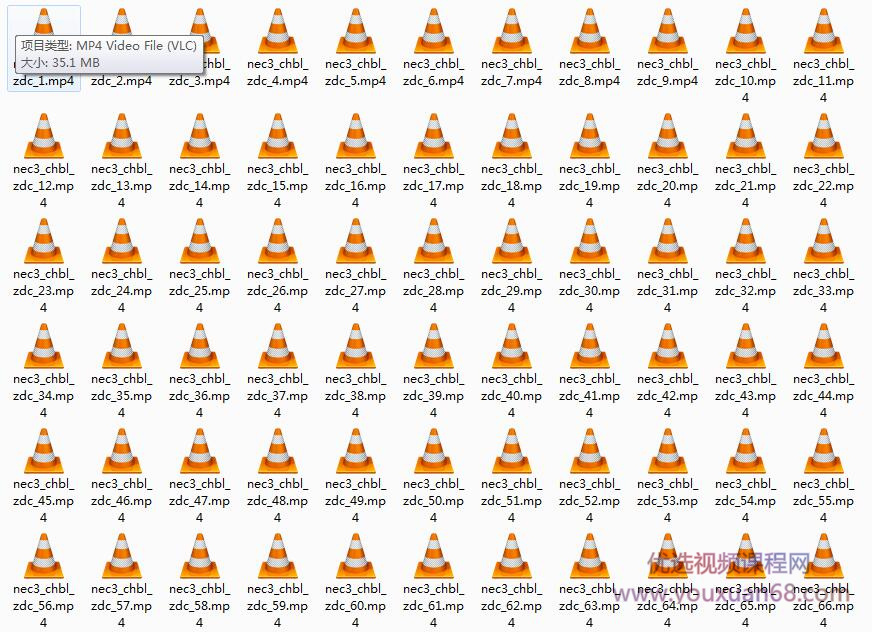 李延隆新概念英语第三册重点单词全解析视频教程（260集）插图