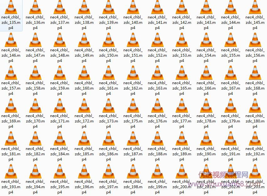 李延隆新概念英语第四册重点单词全解析视频教程（215集）插图