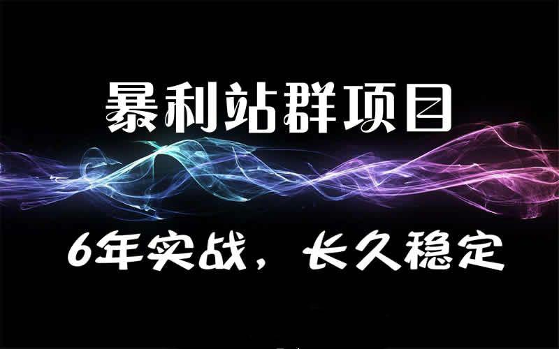 暴疯团队VIP站群赚钱项目培训-真正自动化赚钱项目插图