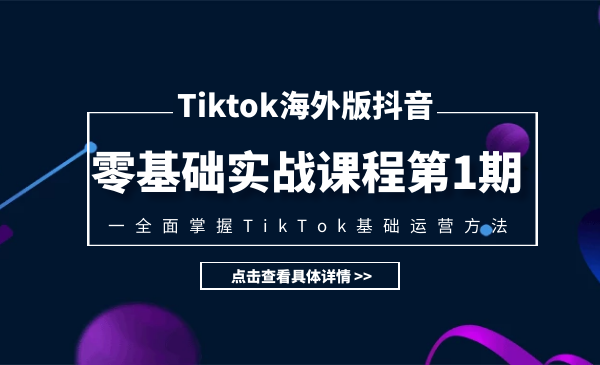 TIKTOK海外版抖音零基础实战课程第1期，全面掌握TIKTOK基础运营方法插图