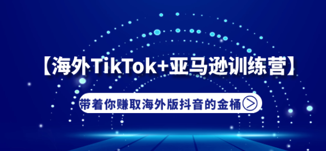 【海外TIKTOK+亚马逊实战训练营】带着你赚取海外版抖音的金桶插图
