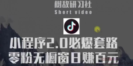 树敌研习社6月抖音小程序课程:抖音小程序2.0必爆套路零粉无橱窗日赚百...插图 树敌研习社6月抖音小程序课程:抖音小程序2.0必爆套路零粉无橱窗日赚百...插图