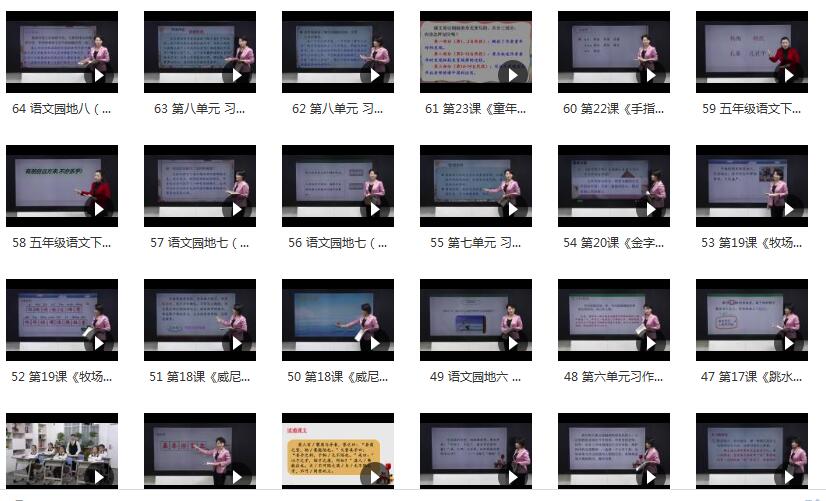 小学五年级语文下册课本知识点同步教学视频(部编版+人教版 下学期 64小...插图