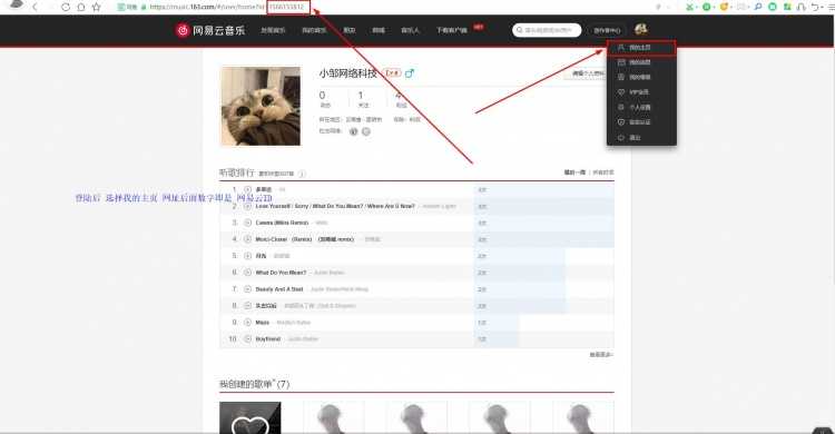 音乐播放器：悬浮音乐播放器html5模板源码【音乐网站源码】插图3