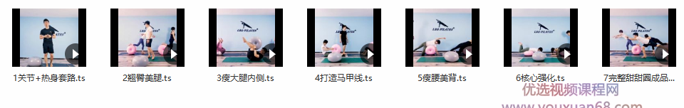 刘健 甜甜圈普拉提瘦身体系课程插图 刘健 甜甜圈普拉提瘦身体系课程插图