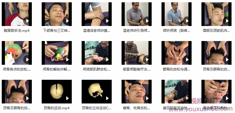 颅骶疗法2020在线网课34节手法实操高清干货演示送温普成颅骶手法