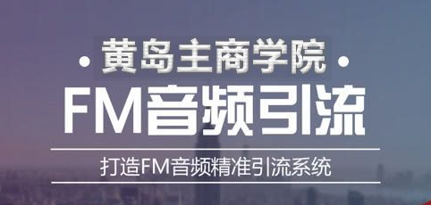黄岛主《FM音频引流特训营1.0》亲身操作每天30-50量，转化超级高插图