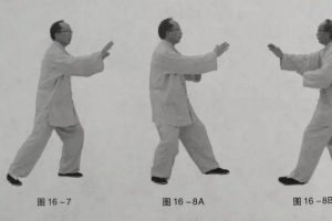 杨式太极擒拿视频教学