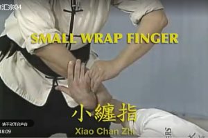 擒拿(杨俊敏)视频教学4讲