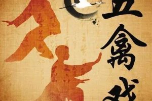 健身气功：五禽戏视频教学（带文档）