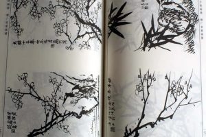 芥子园《画谱技法第二辑：兰竹梅菊》视频讲座16讲