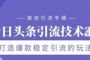 狼《今日头条引流技术3.0》打造爆款稳定引流的玩法，VLOG引流