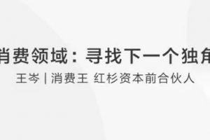 【王岑】大消费领域教你如何寻找下一个独角兽
