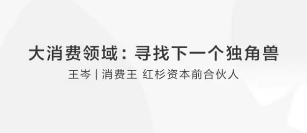 【王岑】大消费领域教你如何寻找下一个独角兽插图