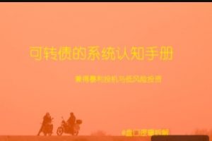 复盘哥干货课程可转债的系统认知手册PDF