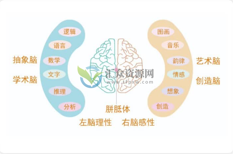 申一帆《让大脑威力加倍的20堂思维导图课》“4大原理+4大要素”深入破解思维导图插图