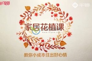 千聊《12节家居花植课》把花植融入生活，小成本住出好心情