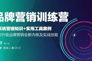 李婷Kris《品牌营销训练营》掌握品牌营销的核心能力与技巧