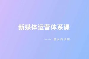 馒头商学院·新媒体运营体系课
