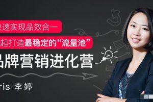 Kris李婷《品牌营销进化营》快速实现品效合一