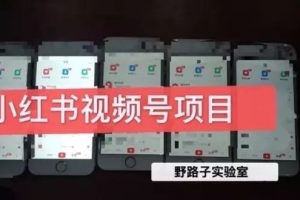 野路子实验室《小红书视频号1.0项目》快速上手赚钱月入上万