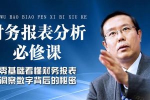 张新民《老板和高管必修的财务报表分析课》零基础看懂财务报表，洞察数字背后的秘密