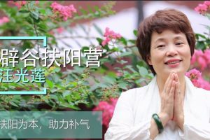 中医扶阳第六代传人汪光莲《21天辟谷扶阳周末营》课程百度网盘下载