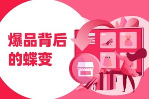 连凯老师《摩飞爆品背后的蝶变》