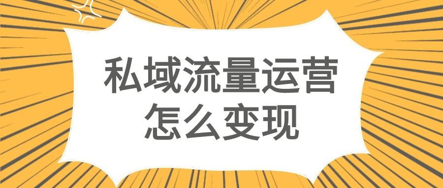 2022年《比高·私域IP引流变现课》6个月10W粉插图