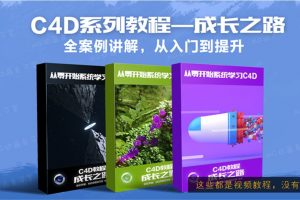 MG动画自习室《C4D成长之路》完整版【带素材】