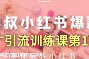 狼叔《小红书爆款推广引流训练课第12期》带你玩转小红书