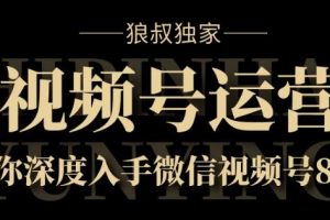 狼叔《视频号运营，带你深度入手微信视频号8.0》