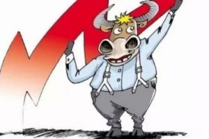 《牛哥实战训练营》第十期视频课程