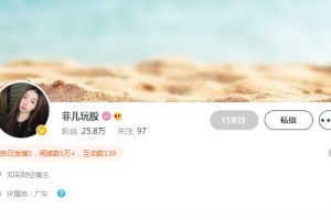 【菲儿玩股】2021年菲儿的复盘计划视频课程