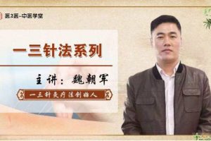 魏朝军针灸学耳聋耳鸣颈肩疼痛,揭密“一三针法”，开四关、止痛组合针...