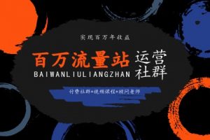 暴疯团队网站赚钱项目4.0，实现网站流量与盈利自动化