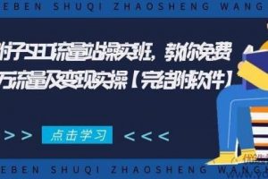 2021附子SEO流量站实操‬班，免费获得百万流量及变现实操