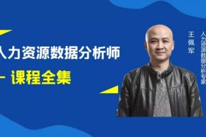 王佩军人力资源数据分析系列课程全集