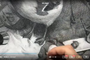 2020年仲明亮素描课【画质高清】